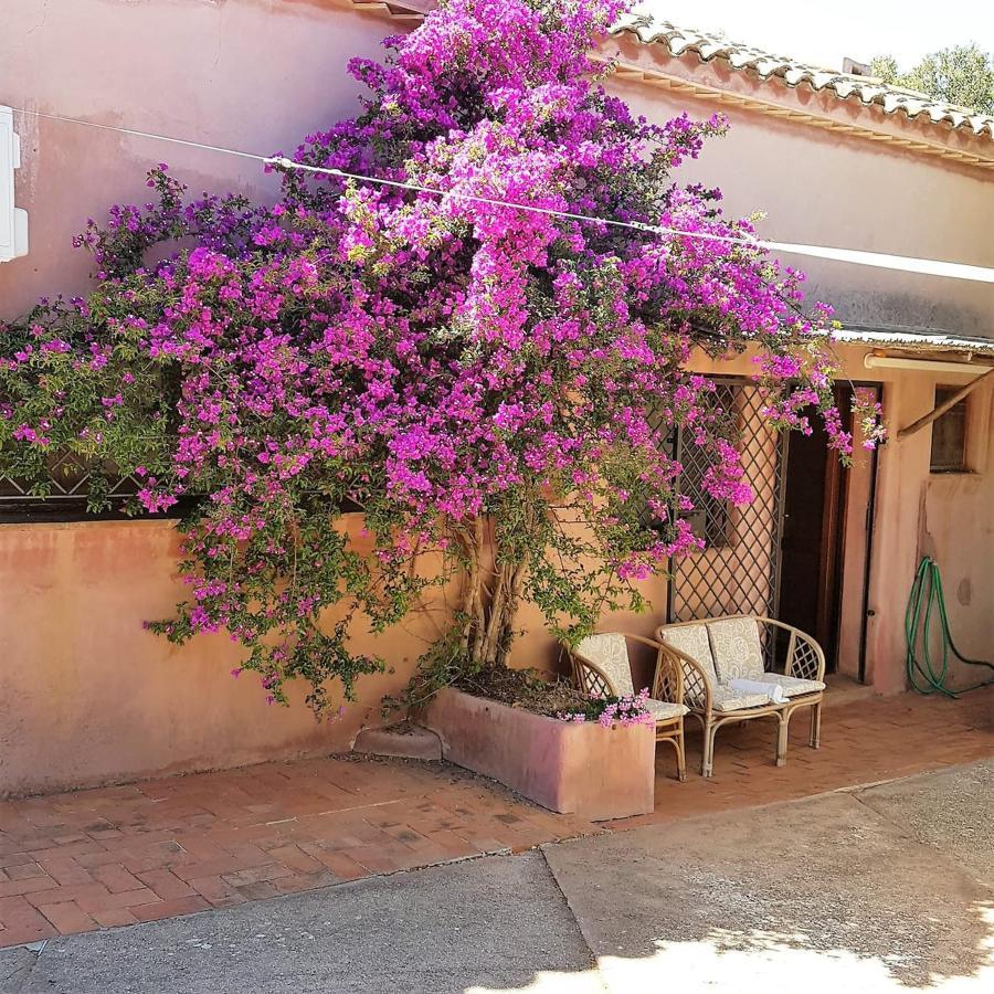 B&B Le Corti Di Aloa San Pantaleo Exterior photo