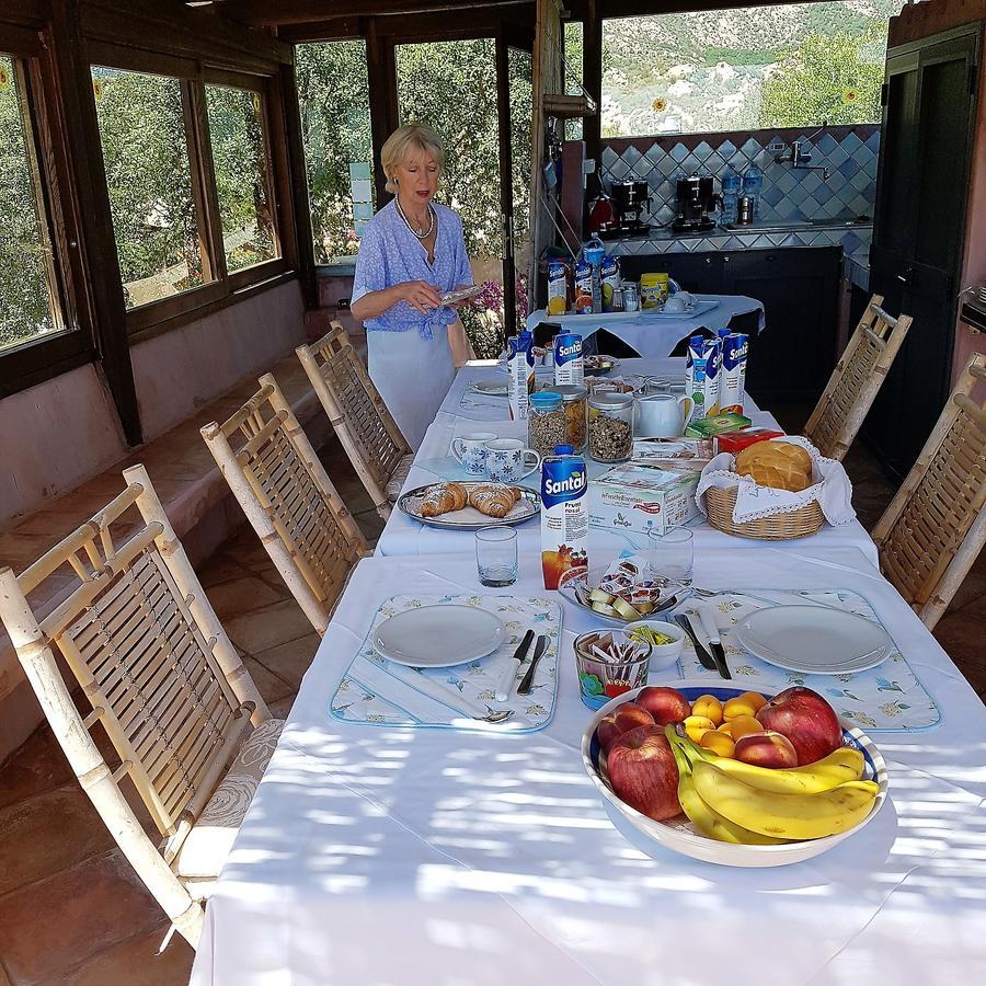 B&B Le Corti Di Aloa San Pantaleo Exterior photo